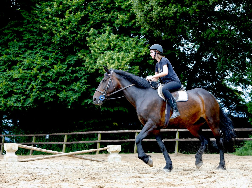 English and Horse-Riding programme in Ireland width=