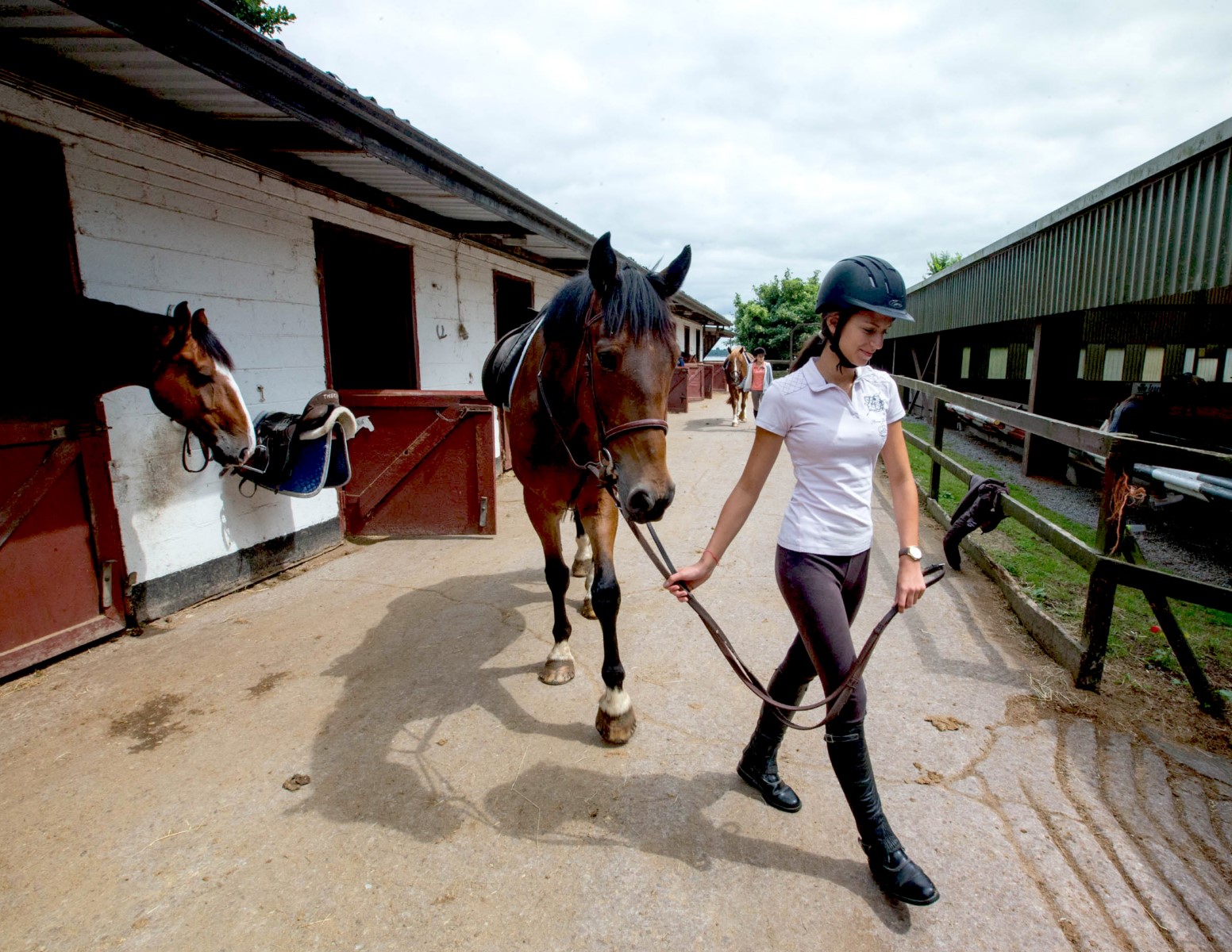 Séjour Linguistique d'anglais plus equitation avec GAMA Study